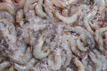 Shrimp 16-20 Large Headless (4lbs)